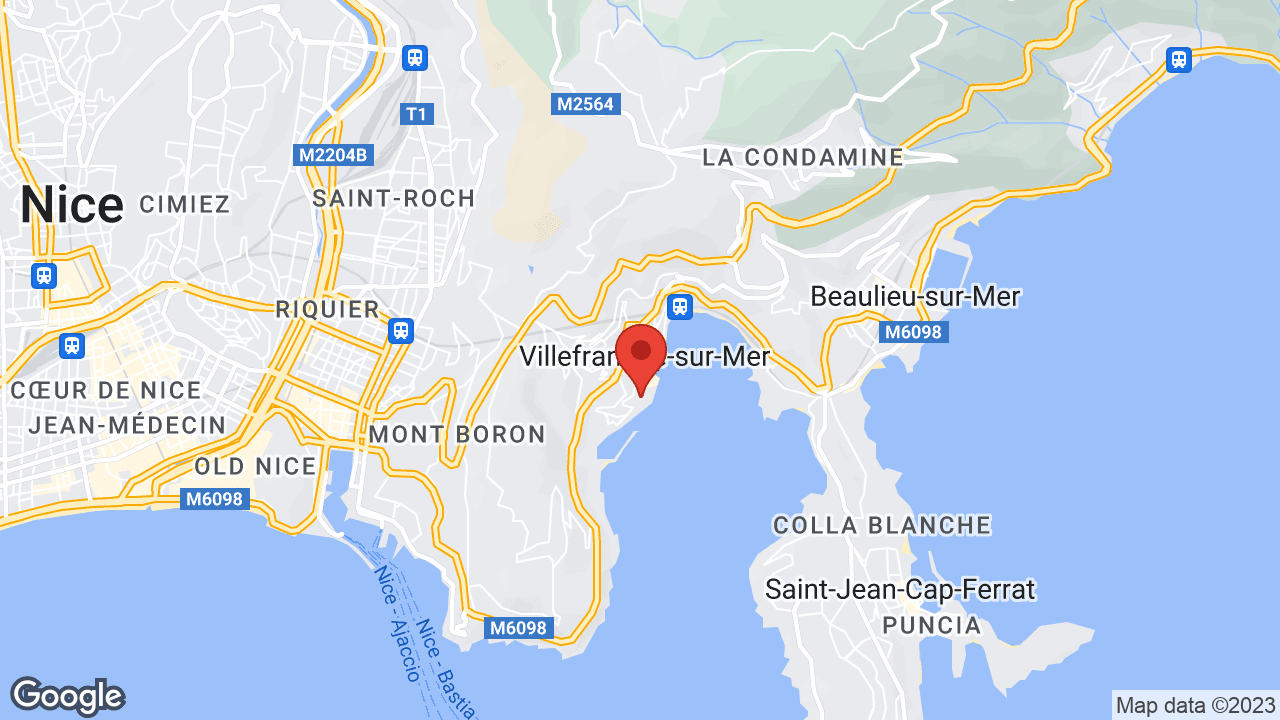 Google map