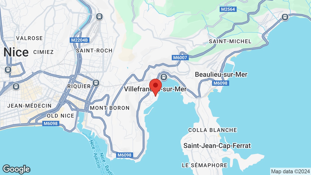 Google map