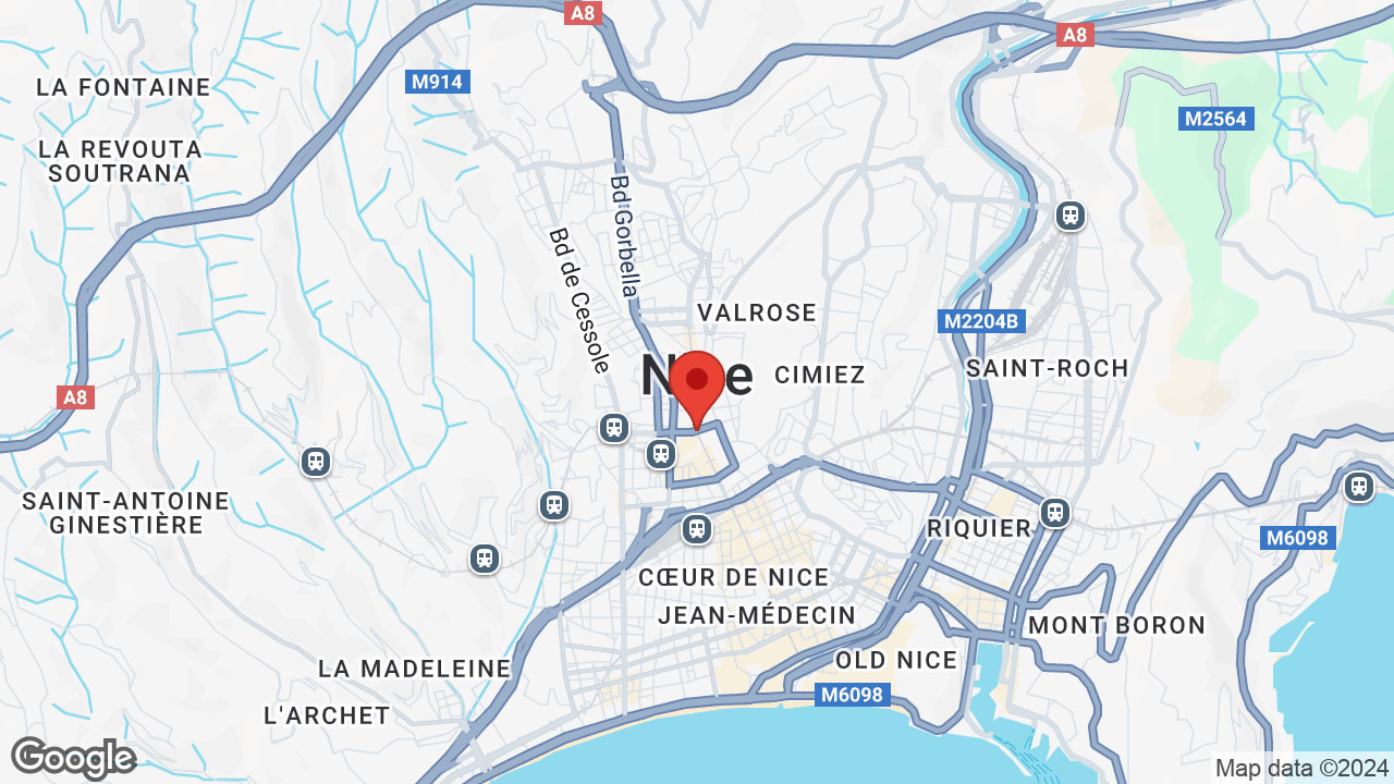 Google map