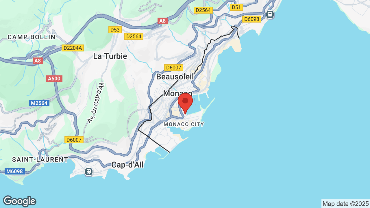 Google map