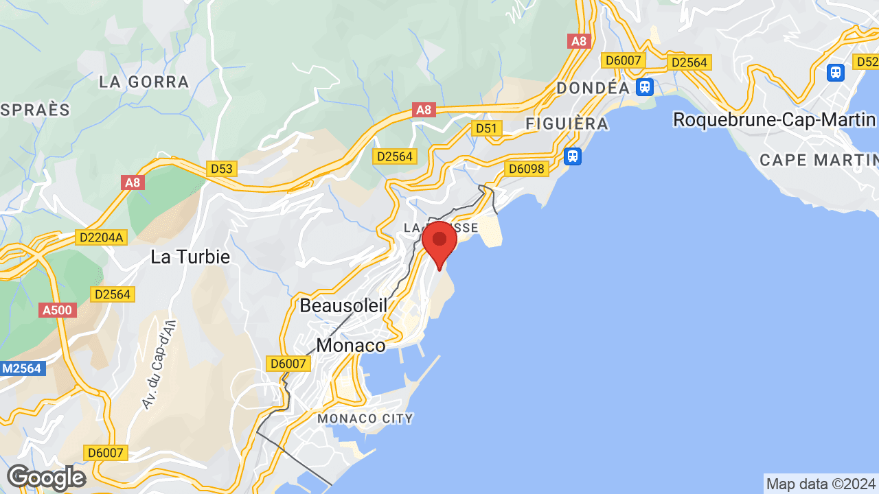 Google map