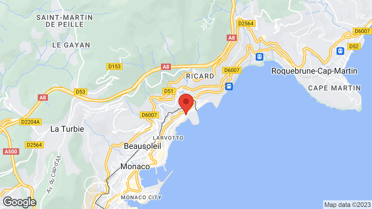 Google map