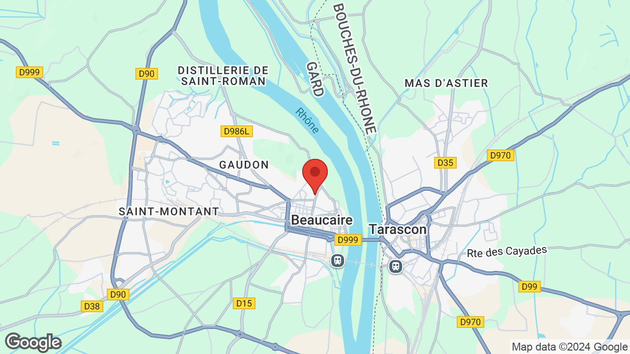 Google map