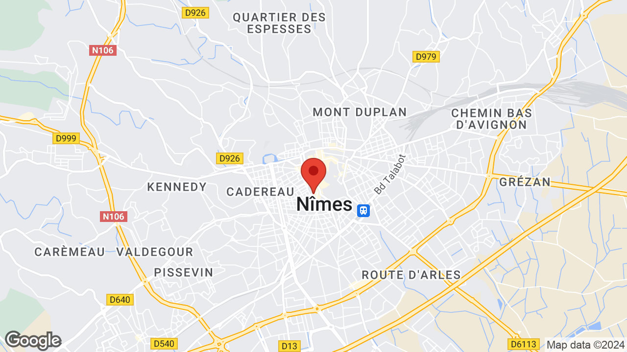 Google map