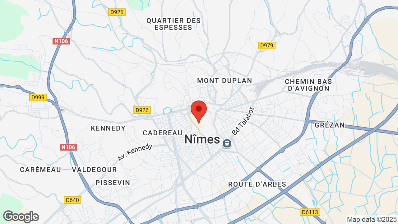 Google map