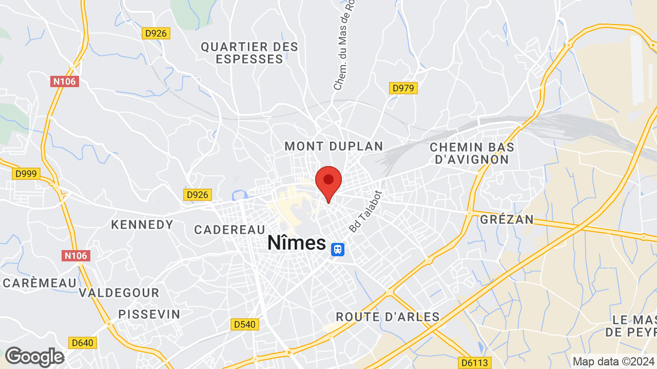 Google map