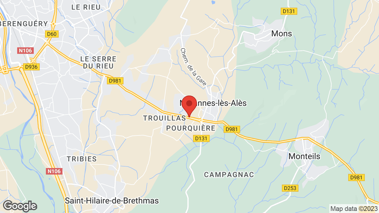 Google map