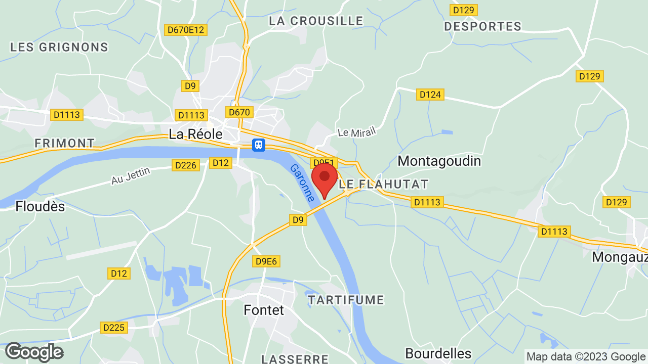 Google map