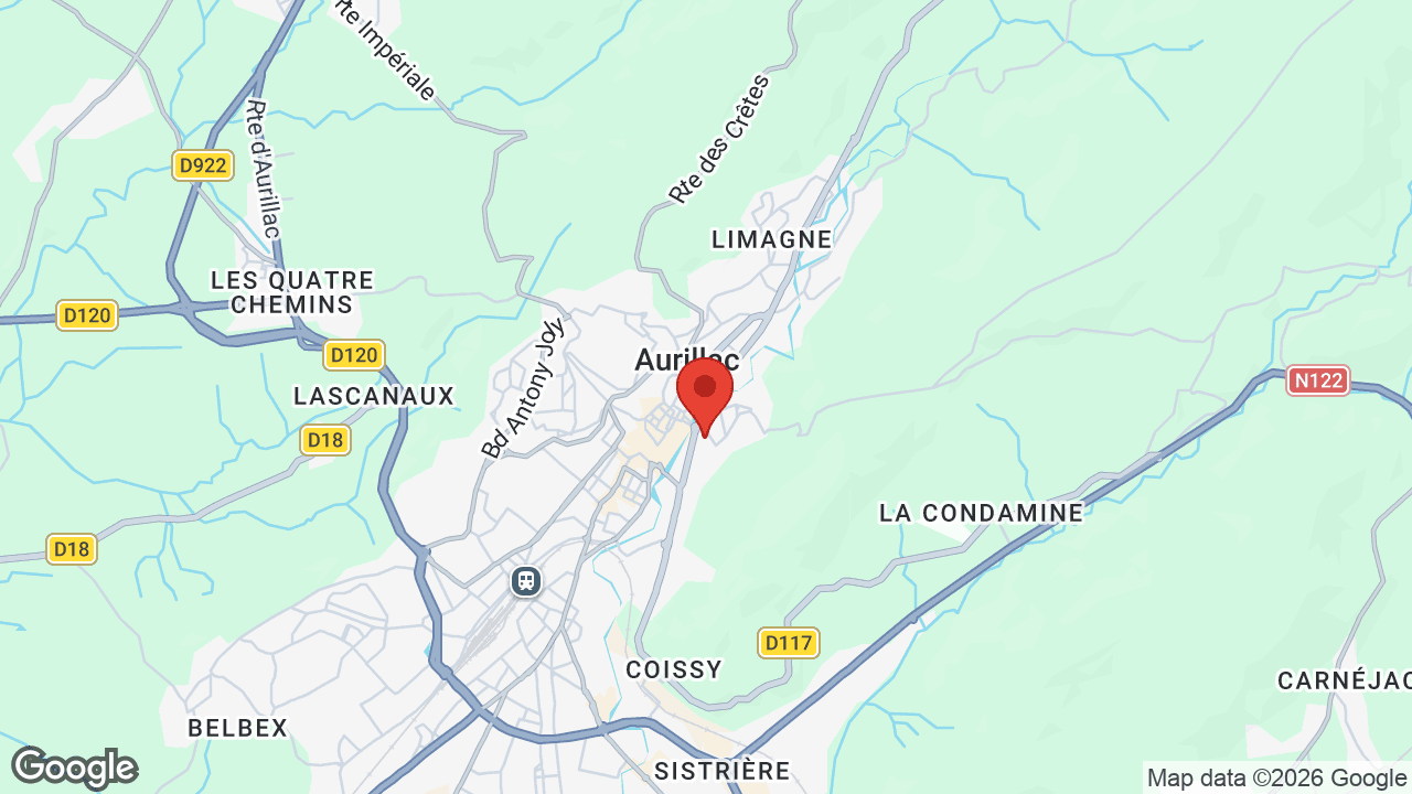 Google map