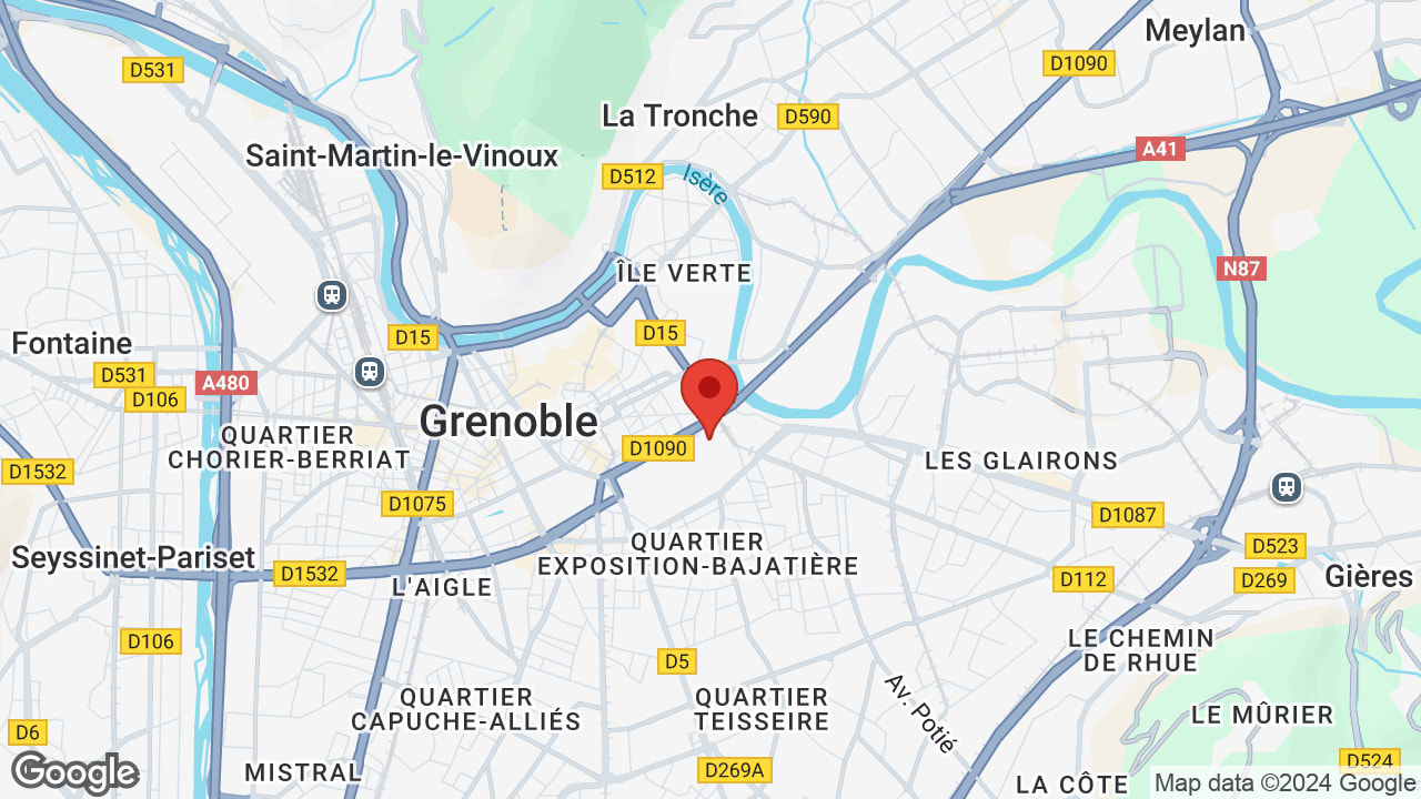 Google map