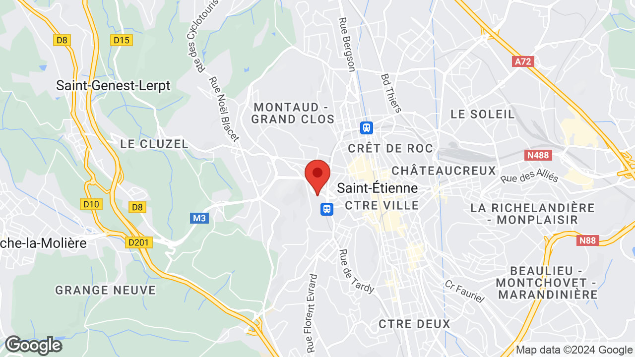 Google map