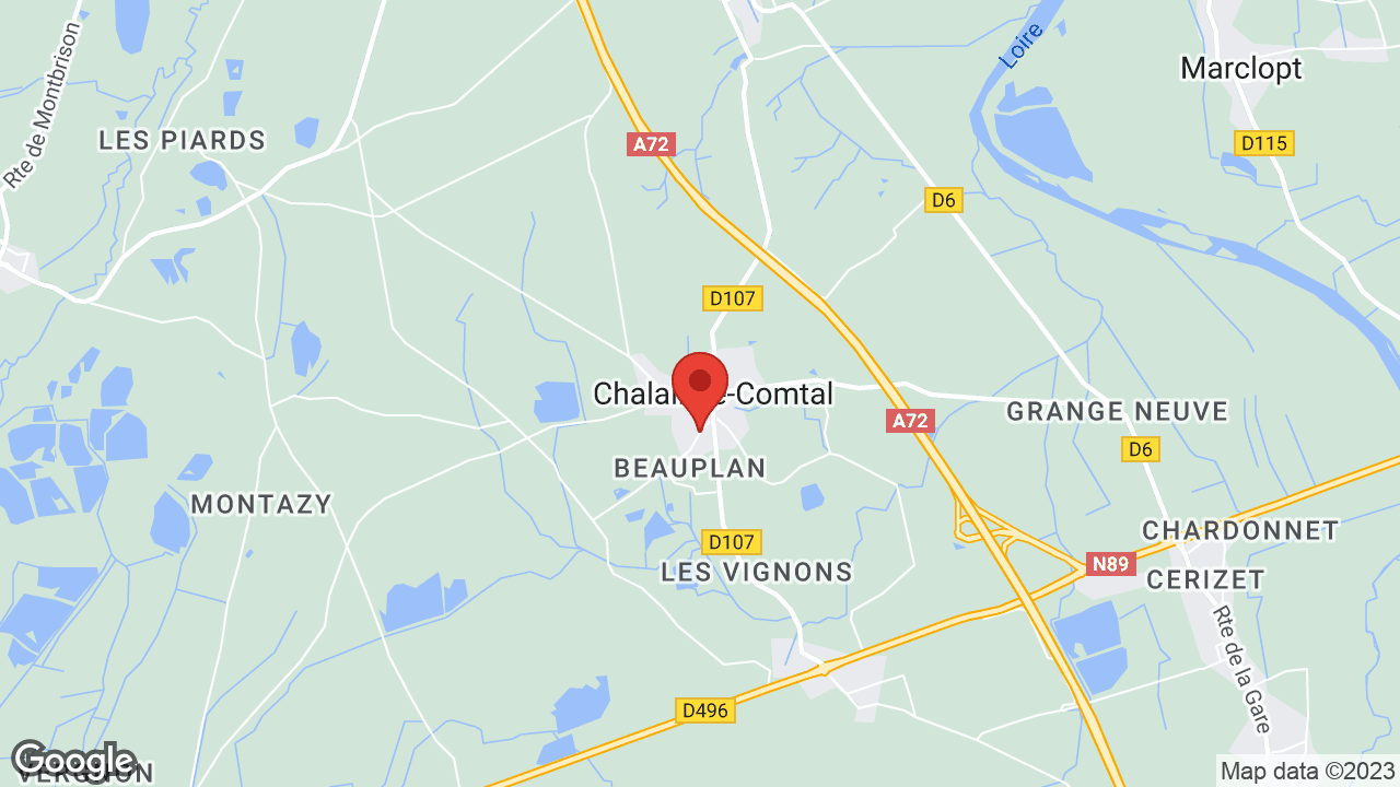 Google map