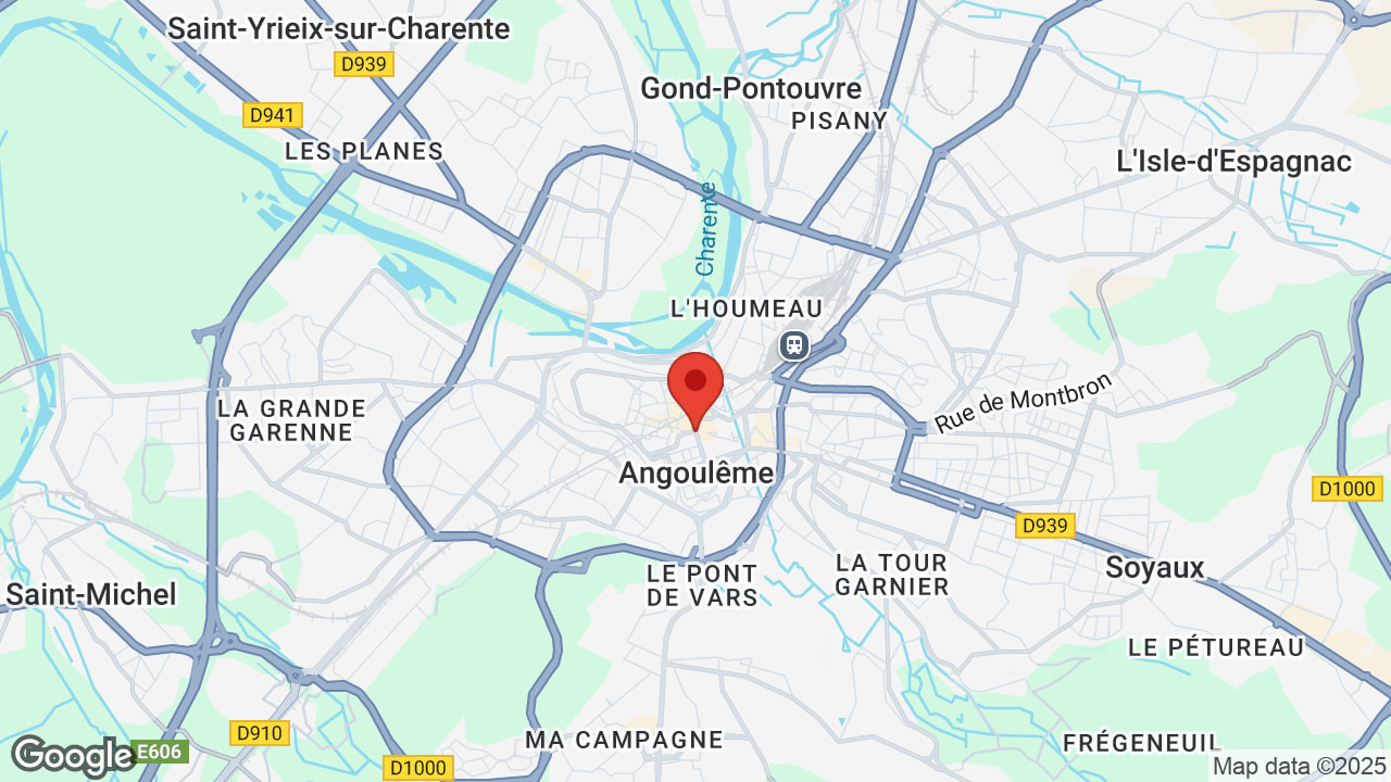 Google map