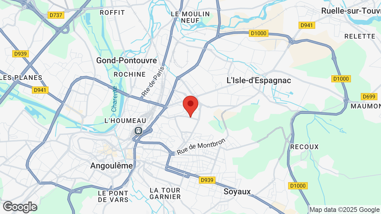 Google map
