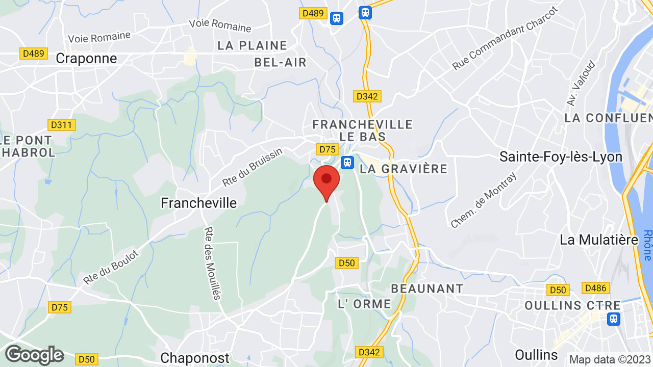 Google map