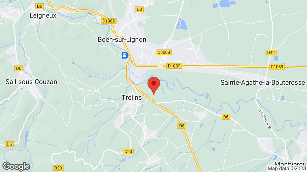 Google map