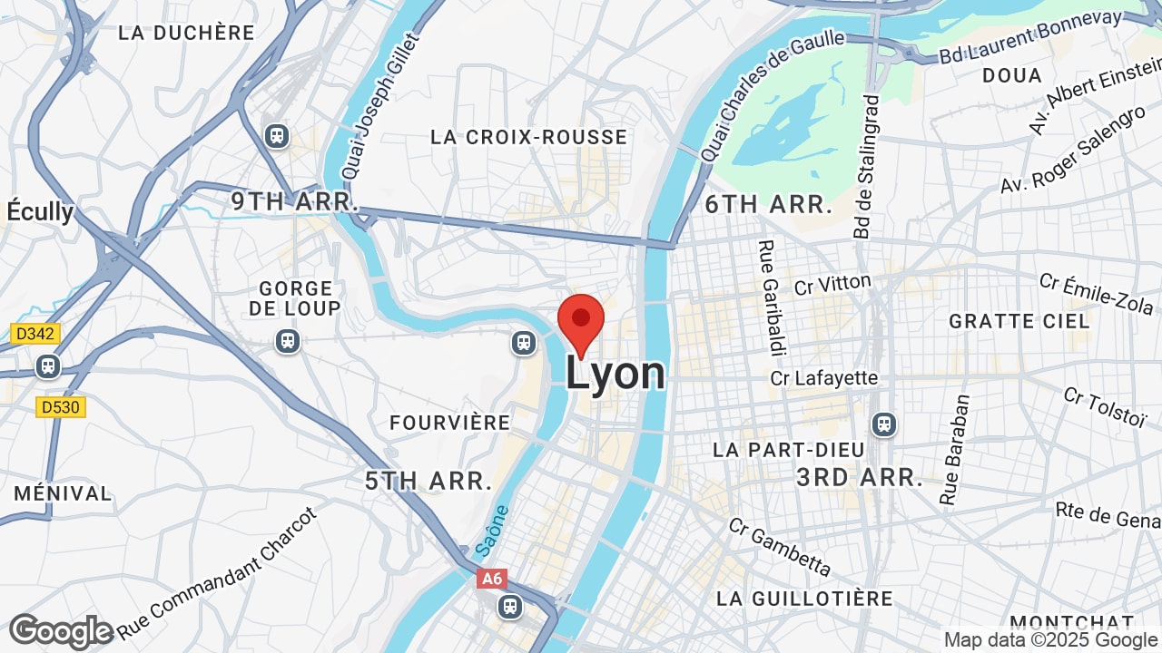 Google map
