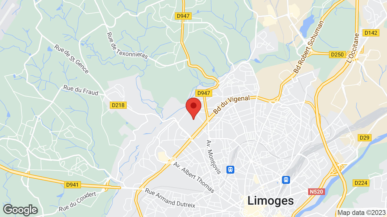 Google map