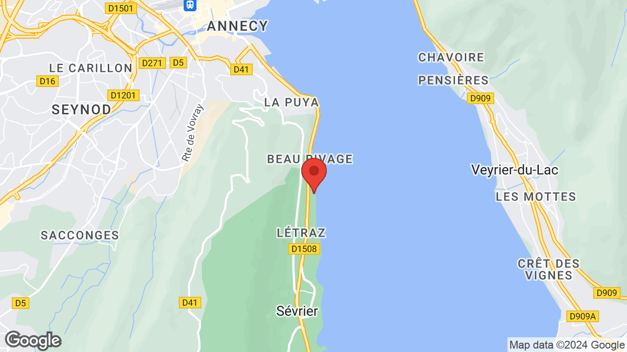 Google map