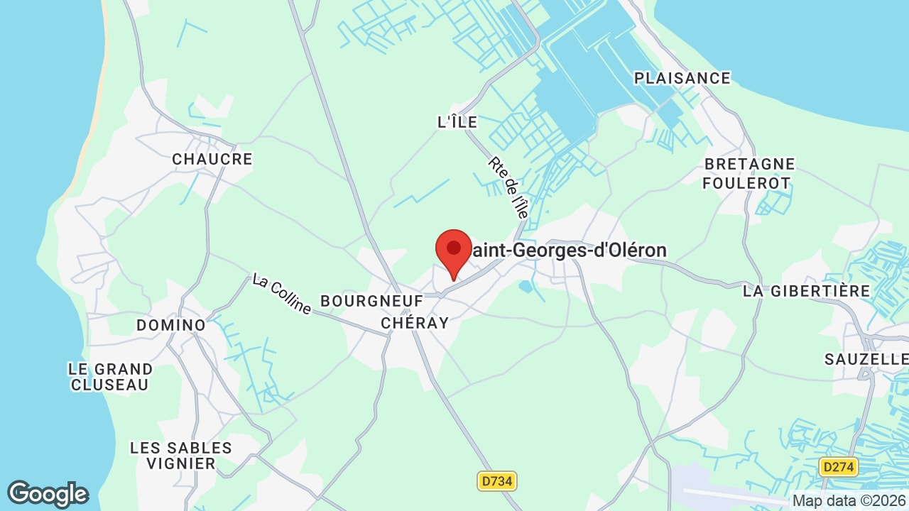 Google map