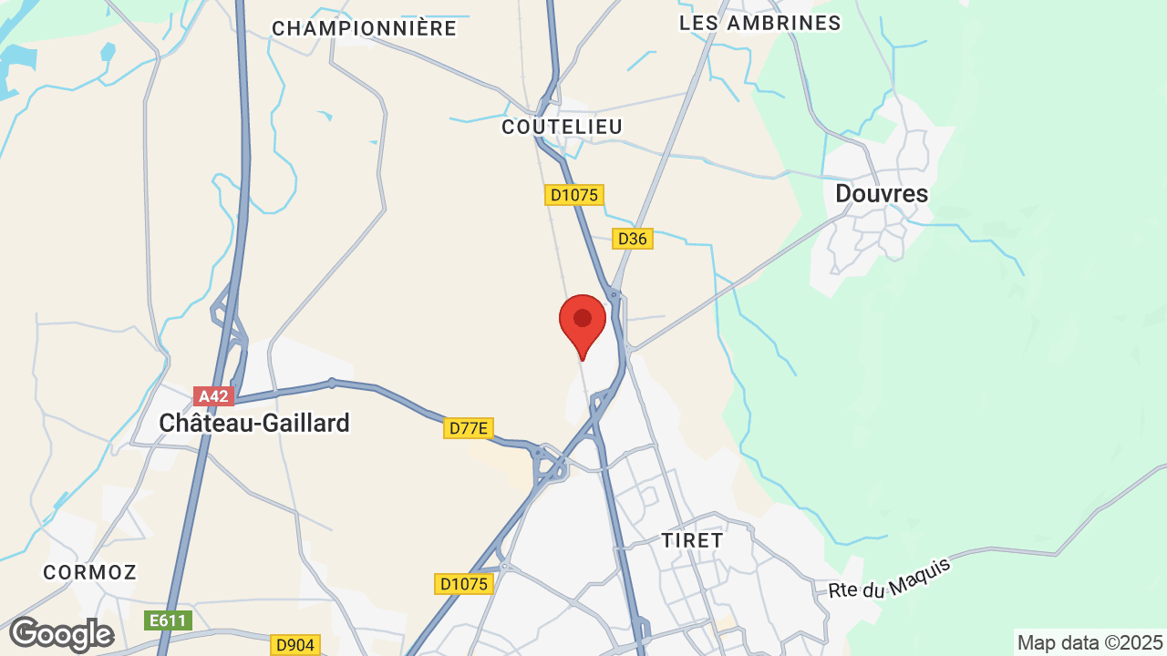 Google map