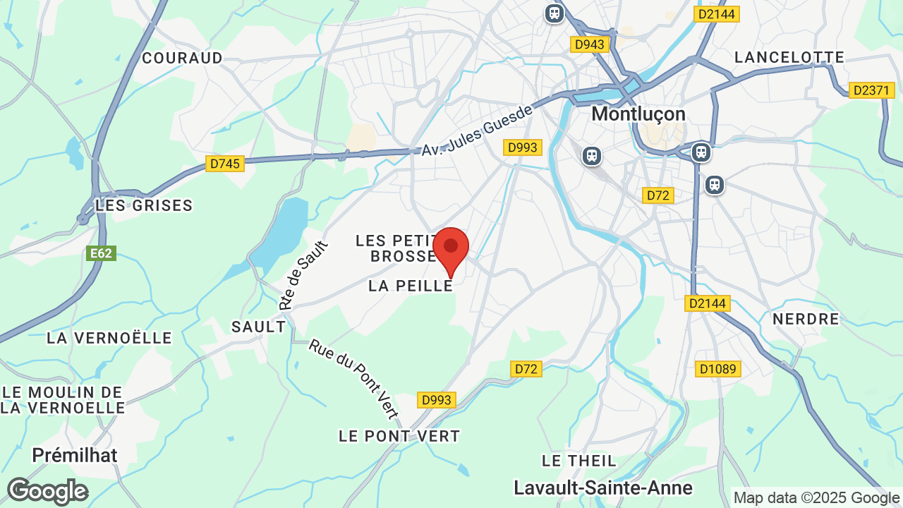 Google map