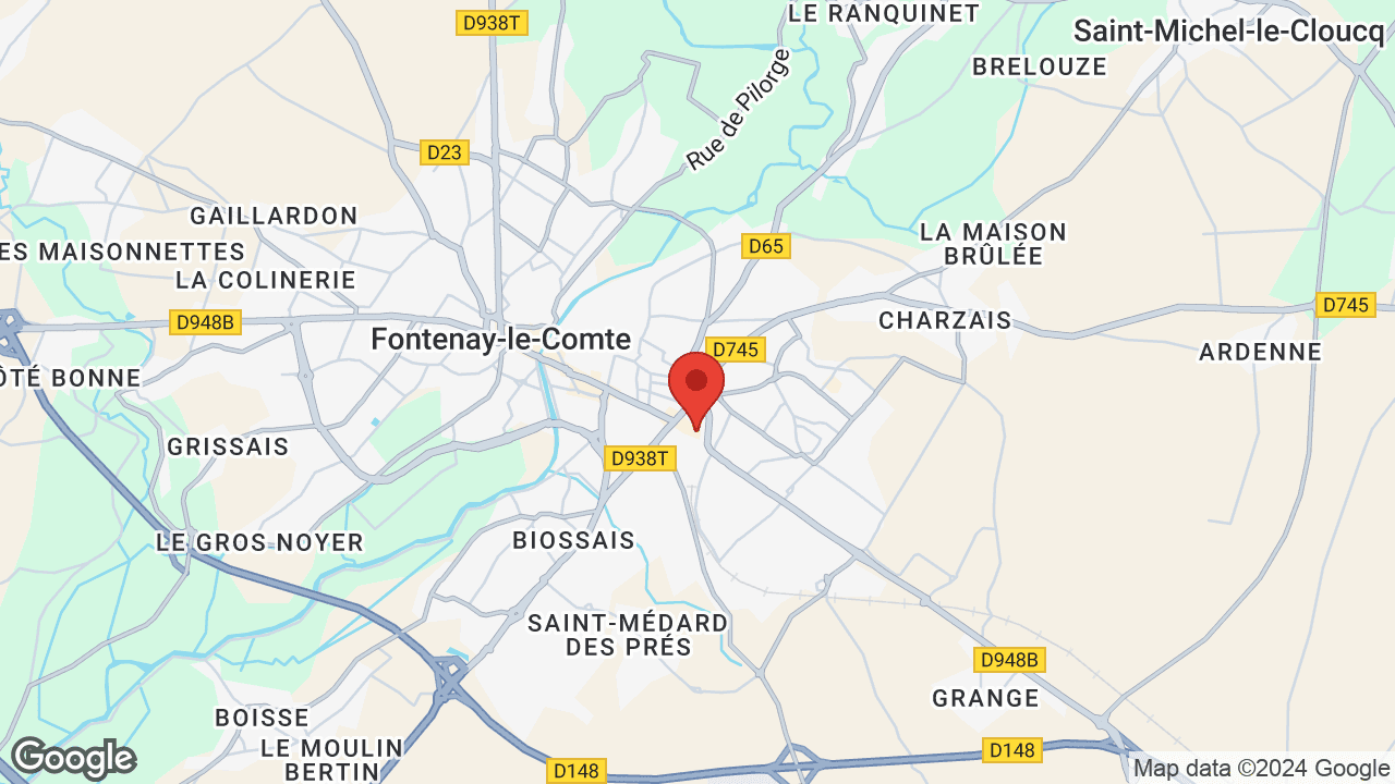 Google map
