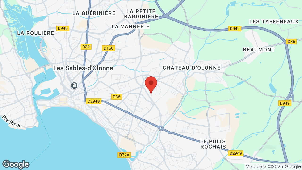 Google map