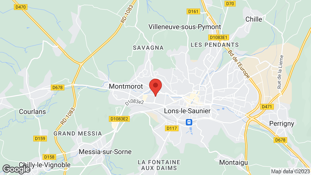 Google map