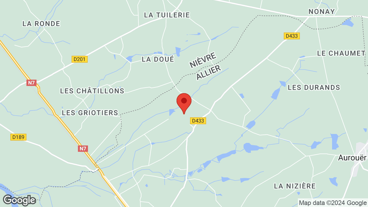 Google map