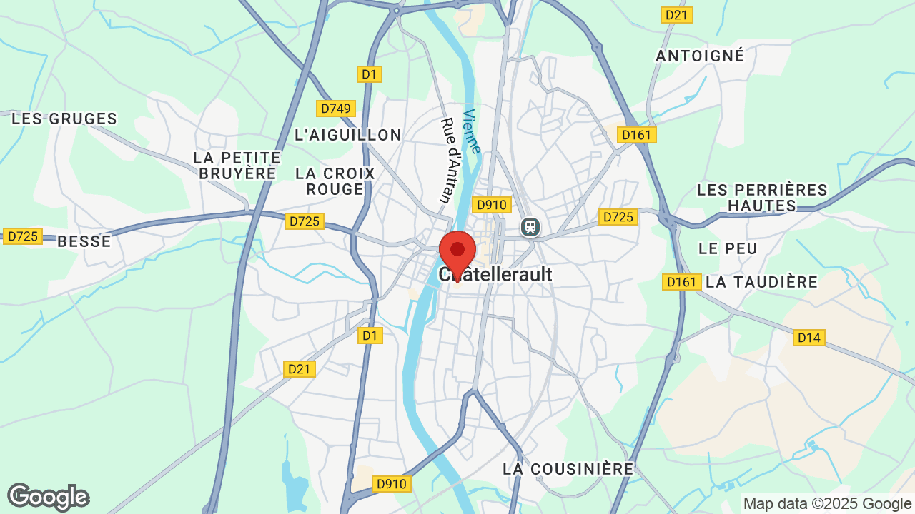 Google map
