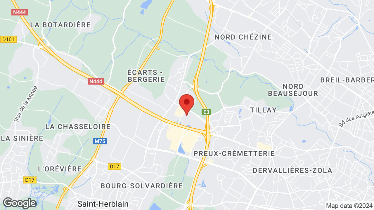 Google map
