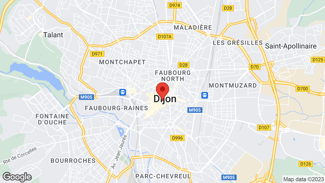 Google map