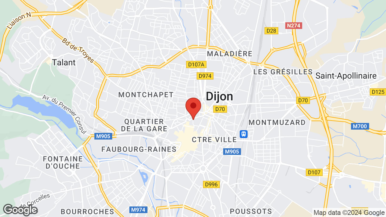 Google map