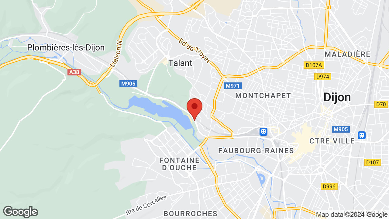 Google map