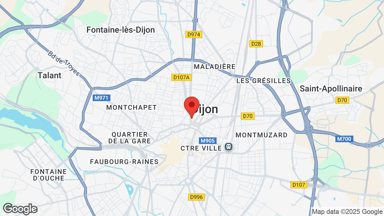 Google map