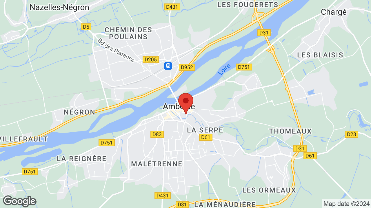 Google map