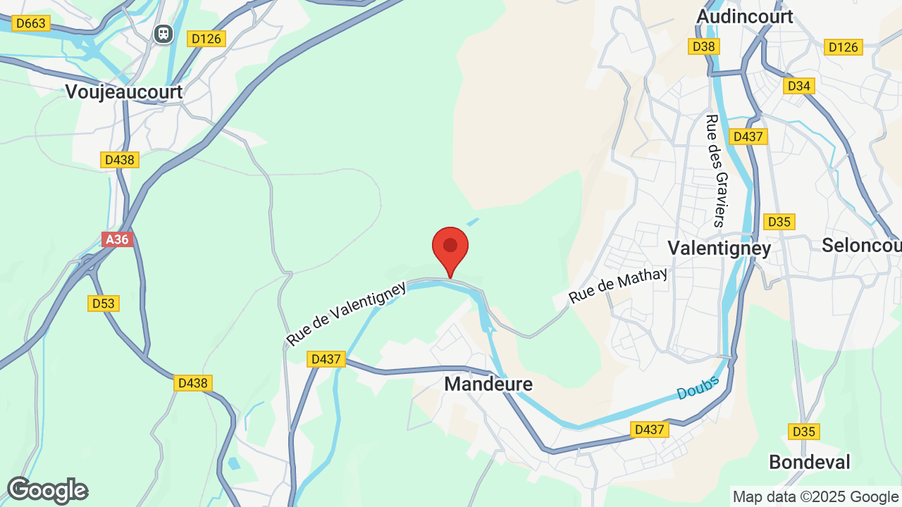 Google map