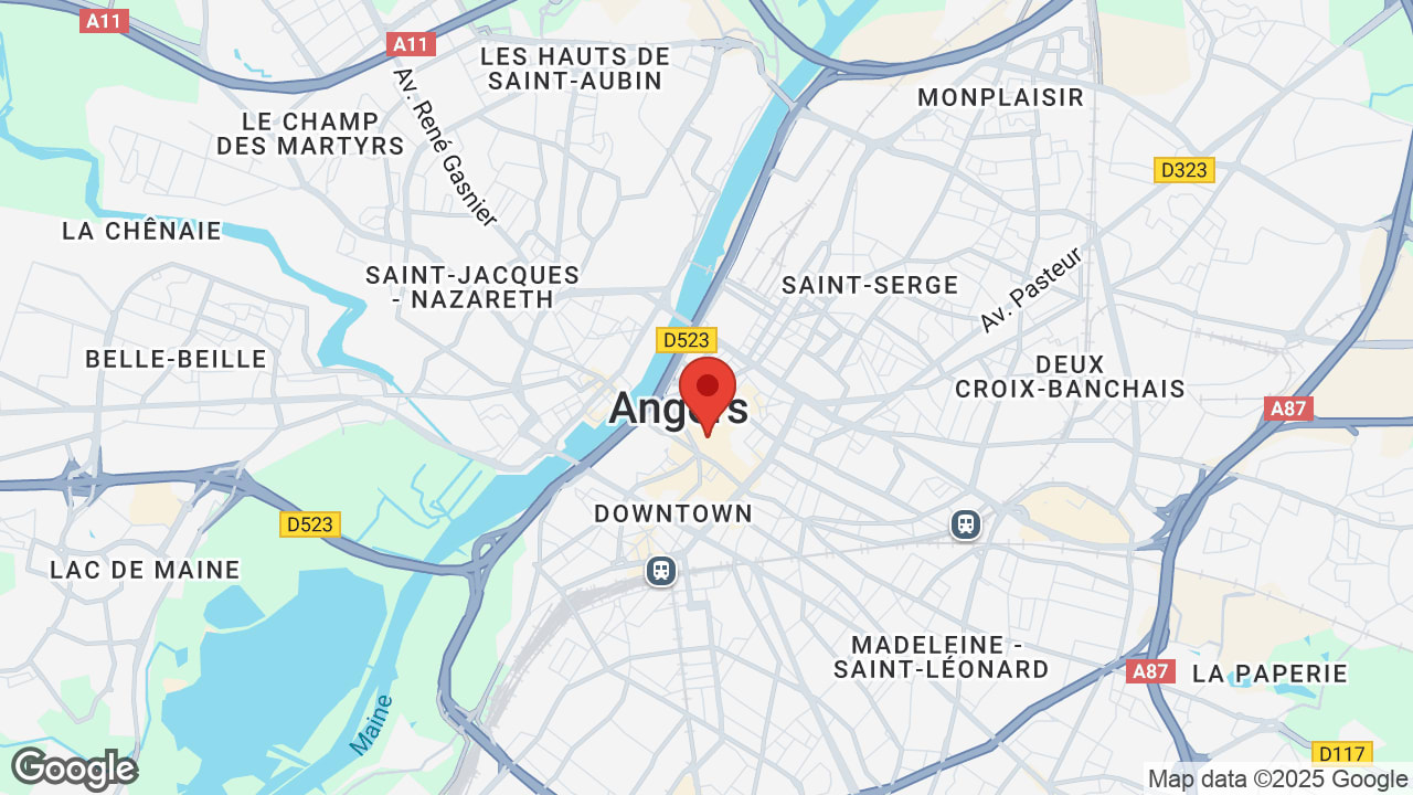 Google map