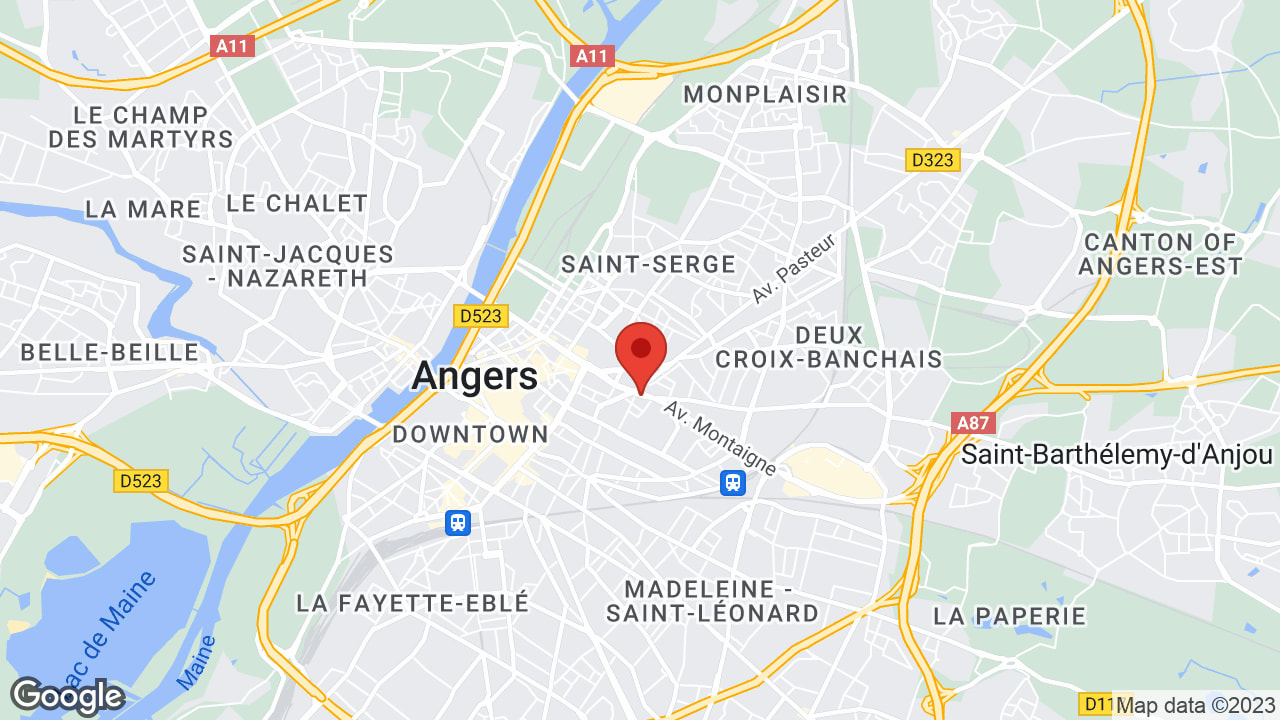 Google map