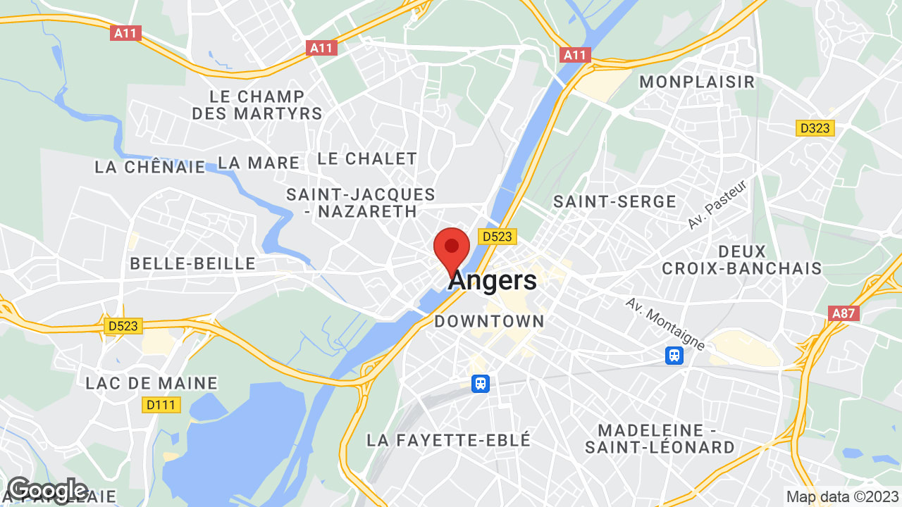 Google map
