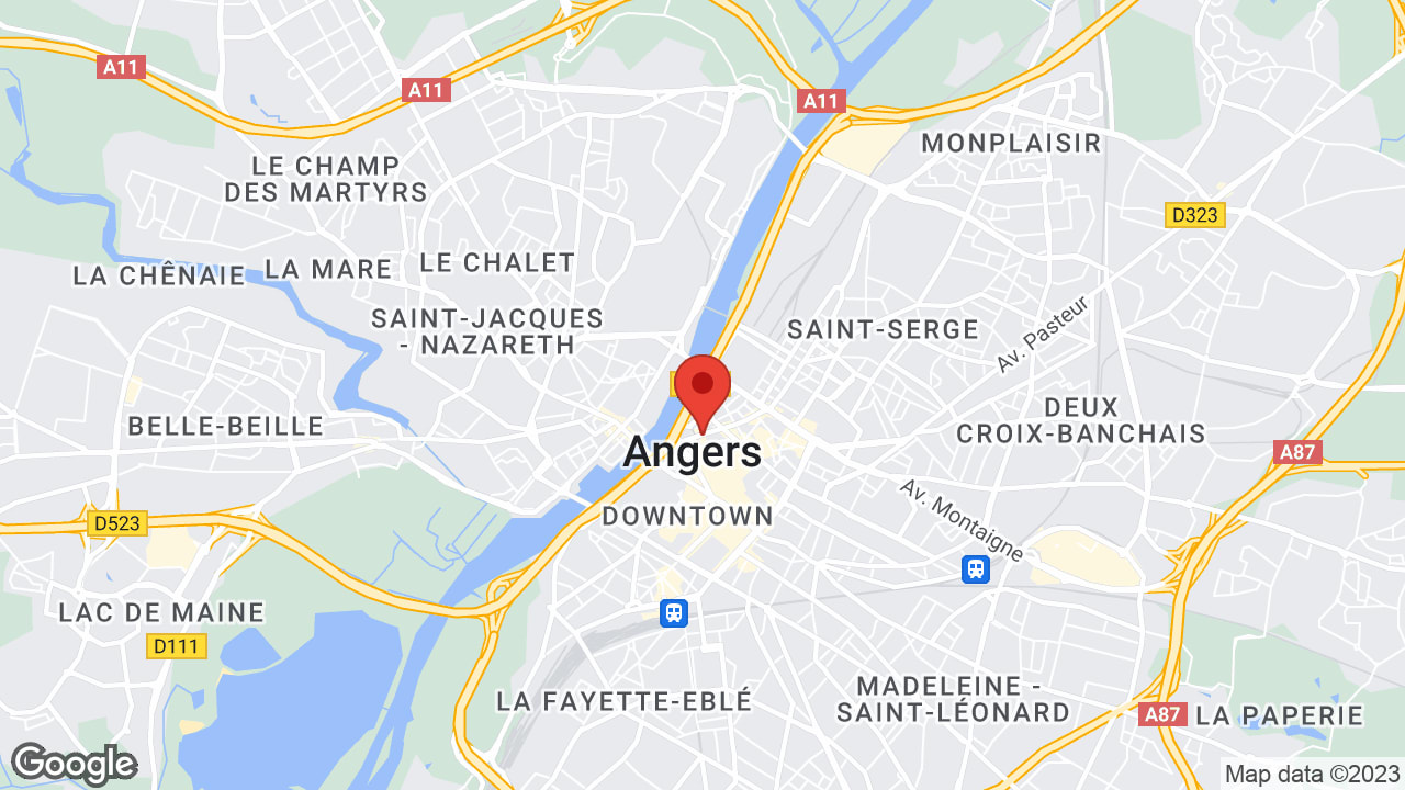 Google map