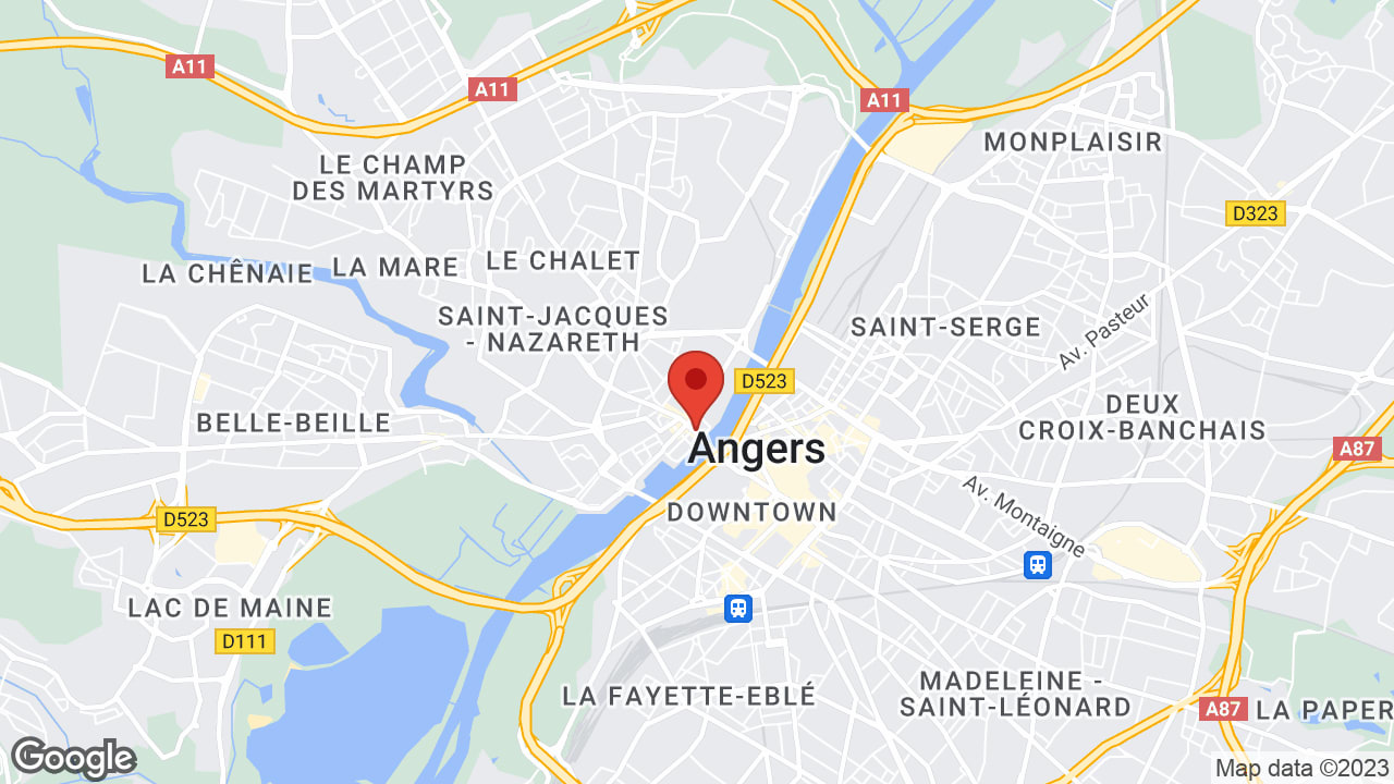 Google map