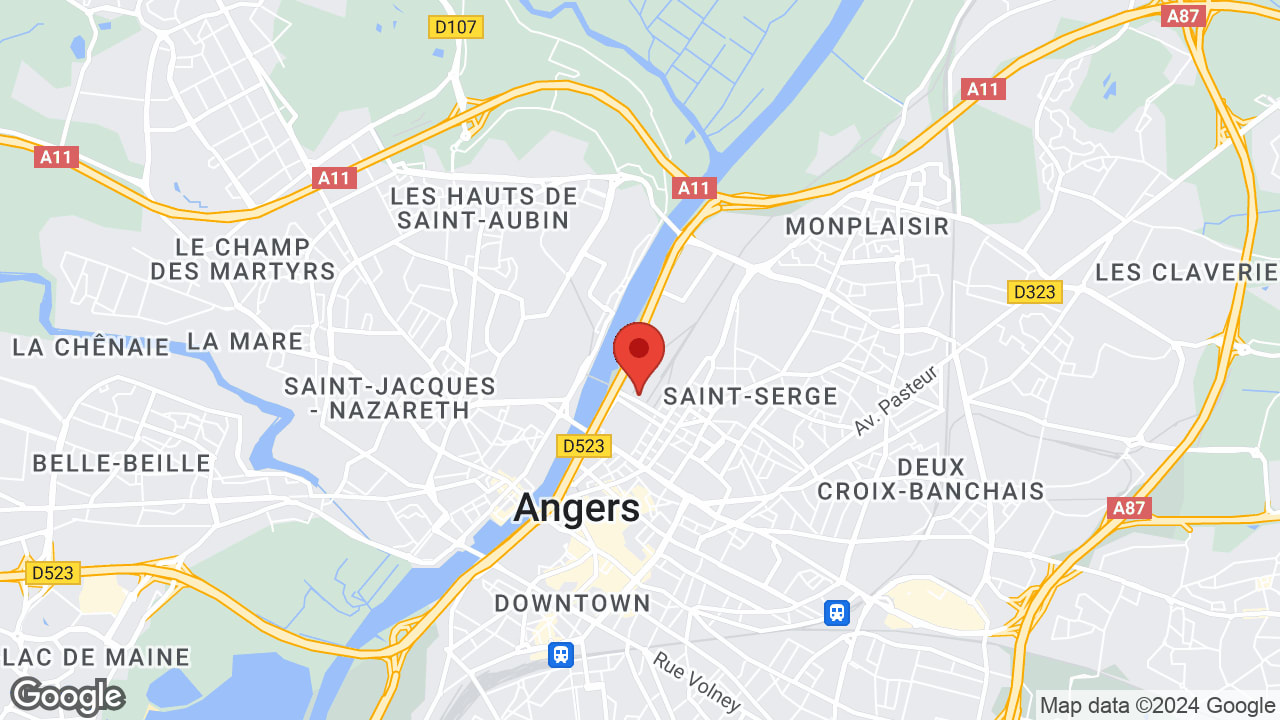 Google map