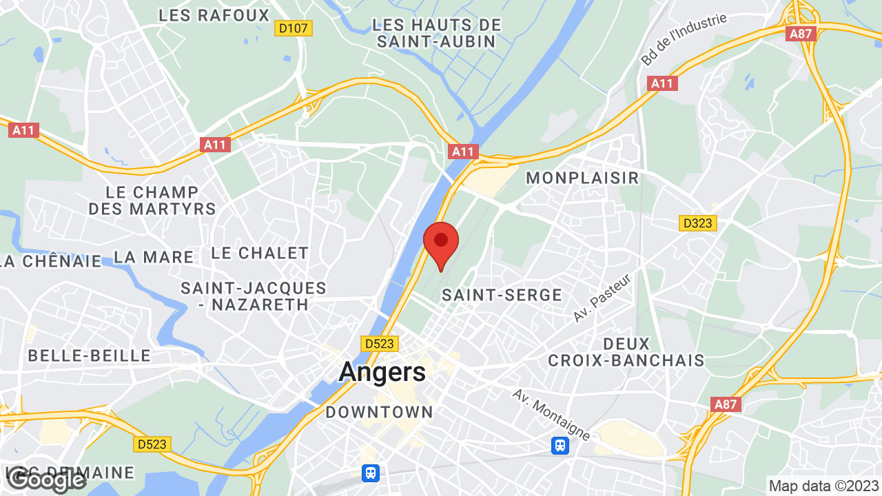 Google map