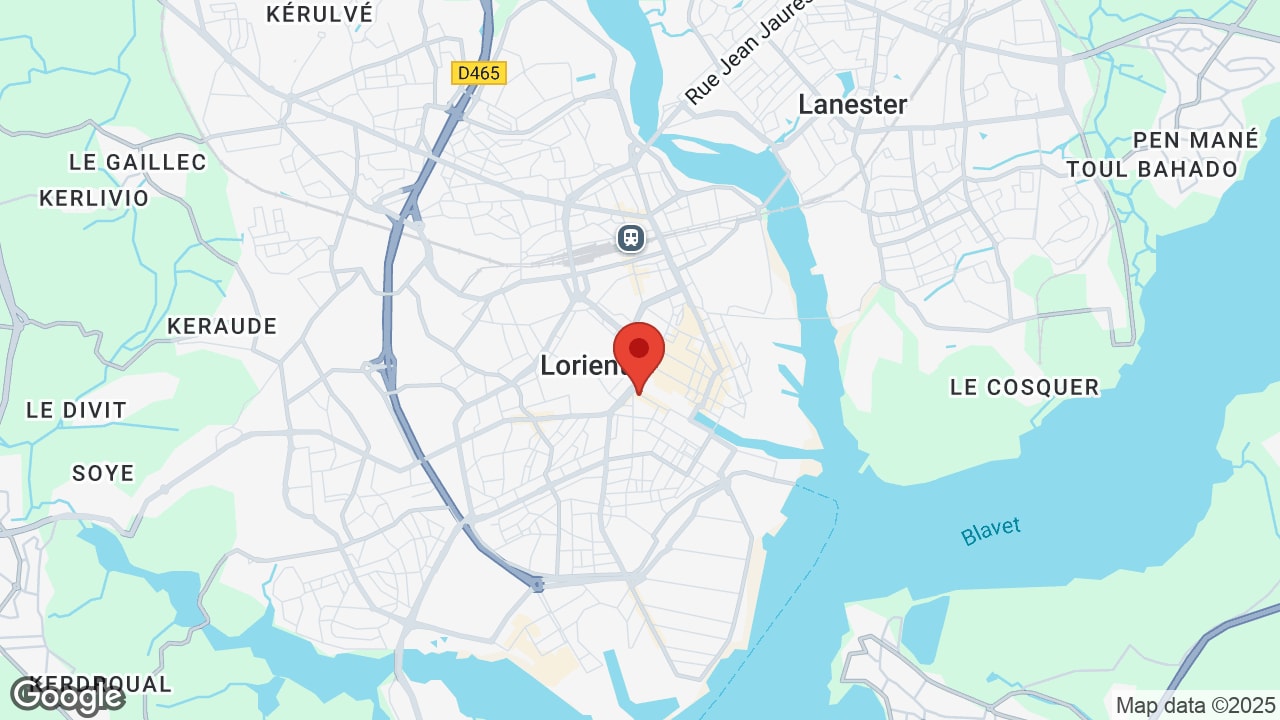 Google map