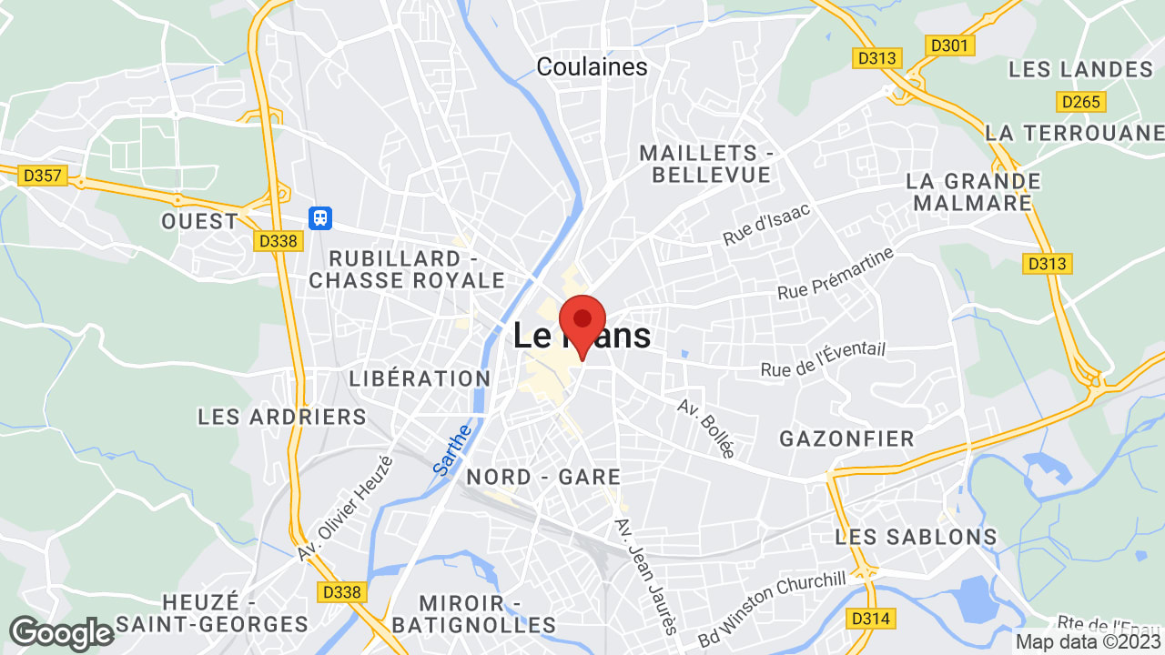 Google map