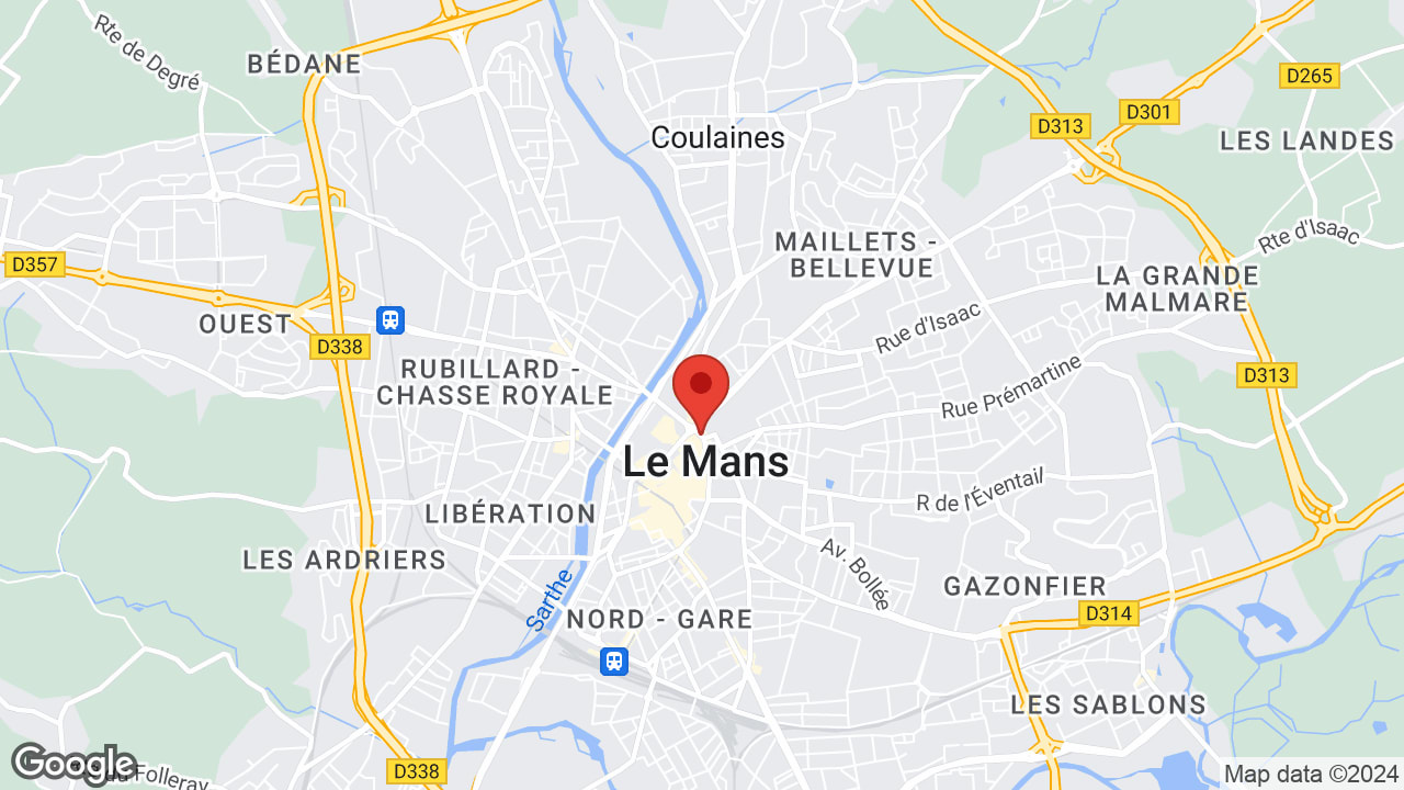 Google map