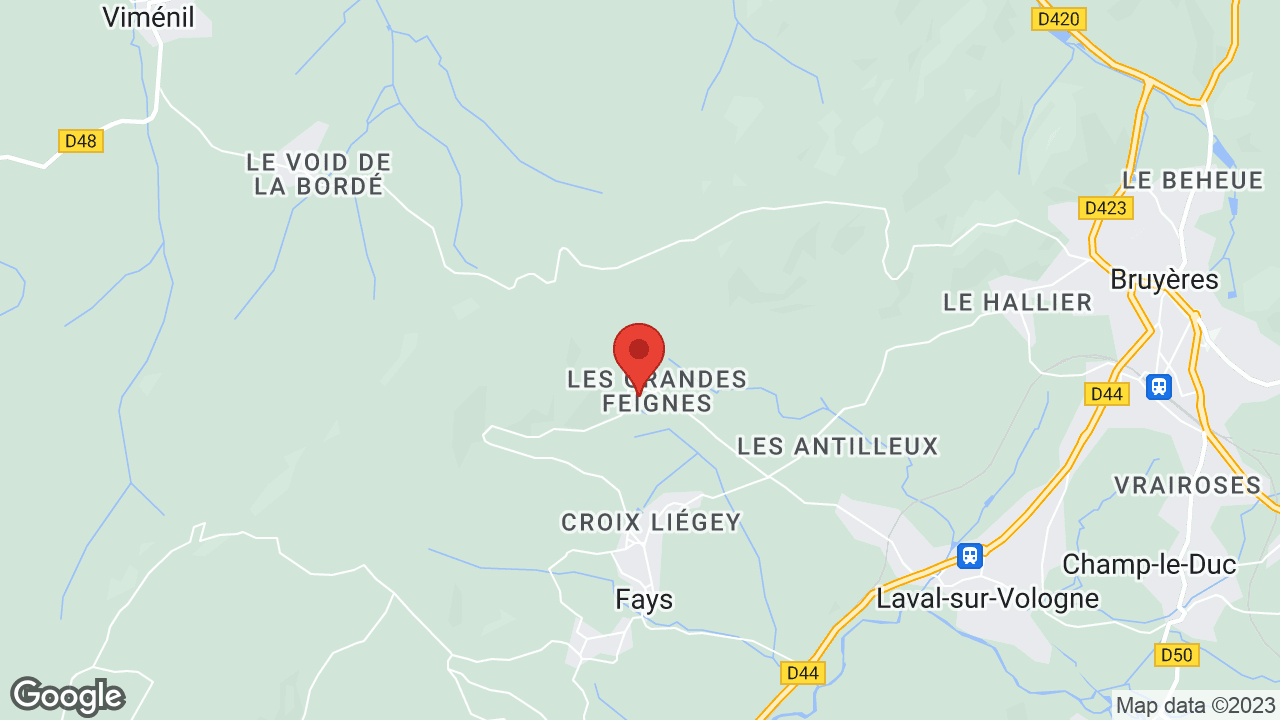 Google map