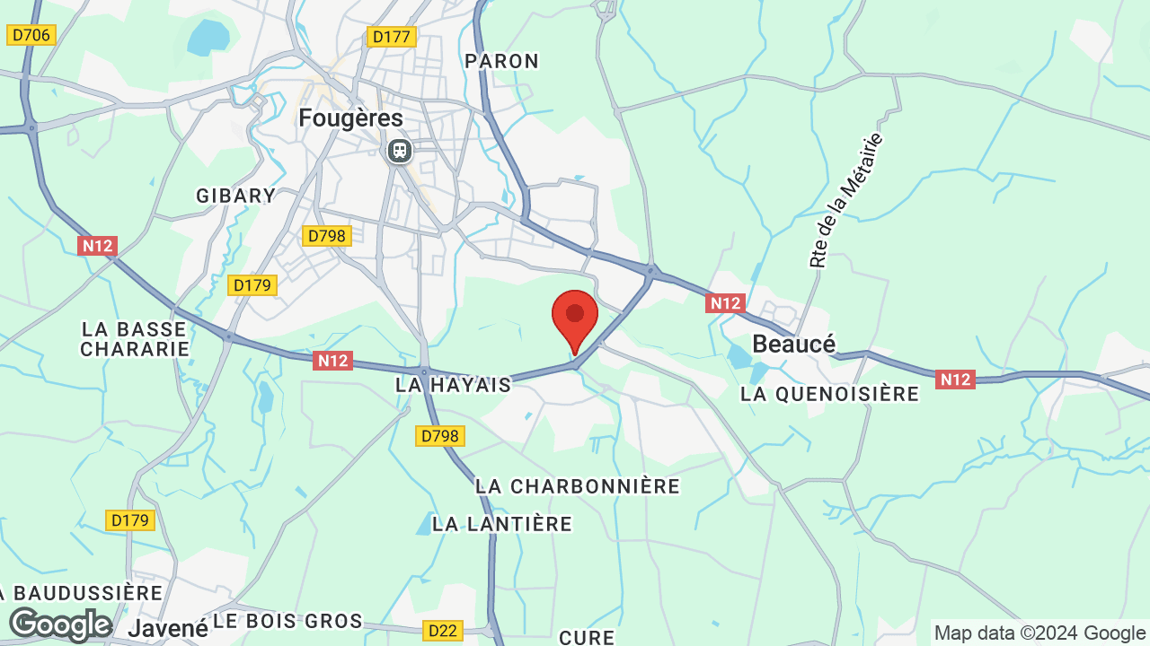 Google map